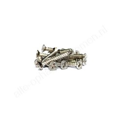 Euro platte kruiskopschroef voor 720004 en 720008 12x2mm