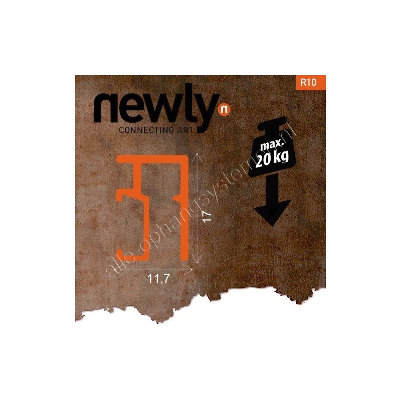 Riel R10 Newly de 12 metros + cable de perlón con Twister