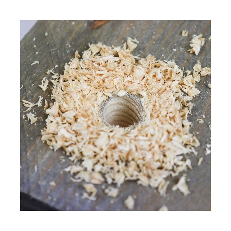 Pikapora puulle 12x150 mm