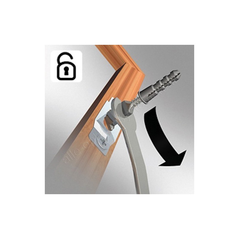 Sleutel voor anti-diefstalset voor houten & alu lijsten