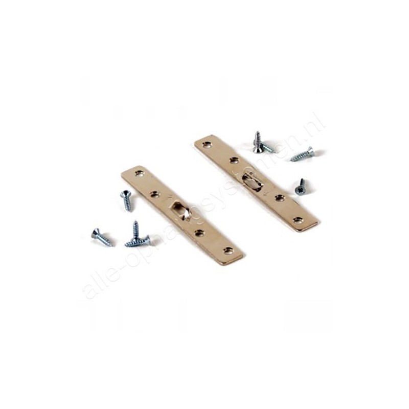 GeckoTeq Super Steel Hanger large (excl. screws)