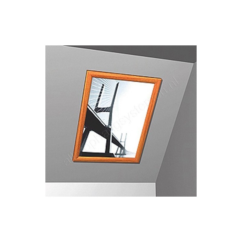 Anti-Diefstalsysteem Sleutel (voor houten & alu lijsten)