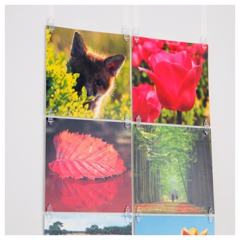 STAS Picture Hits - 1 blister with contents