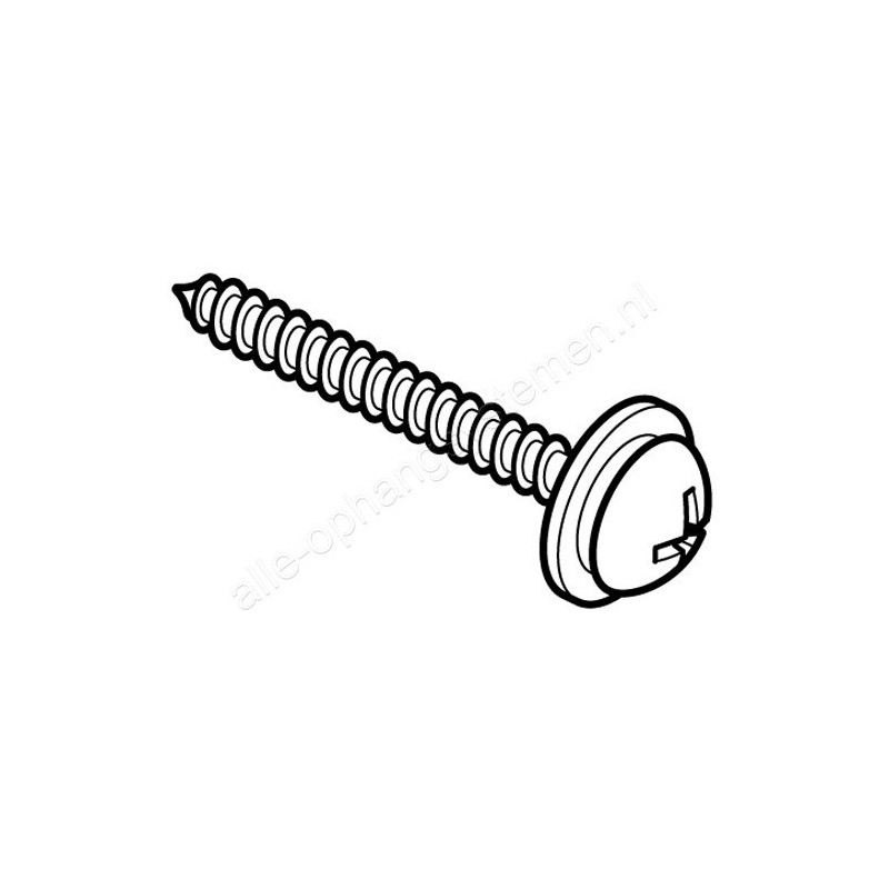 STAS minirail clipschroef