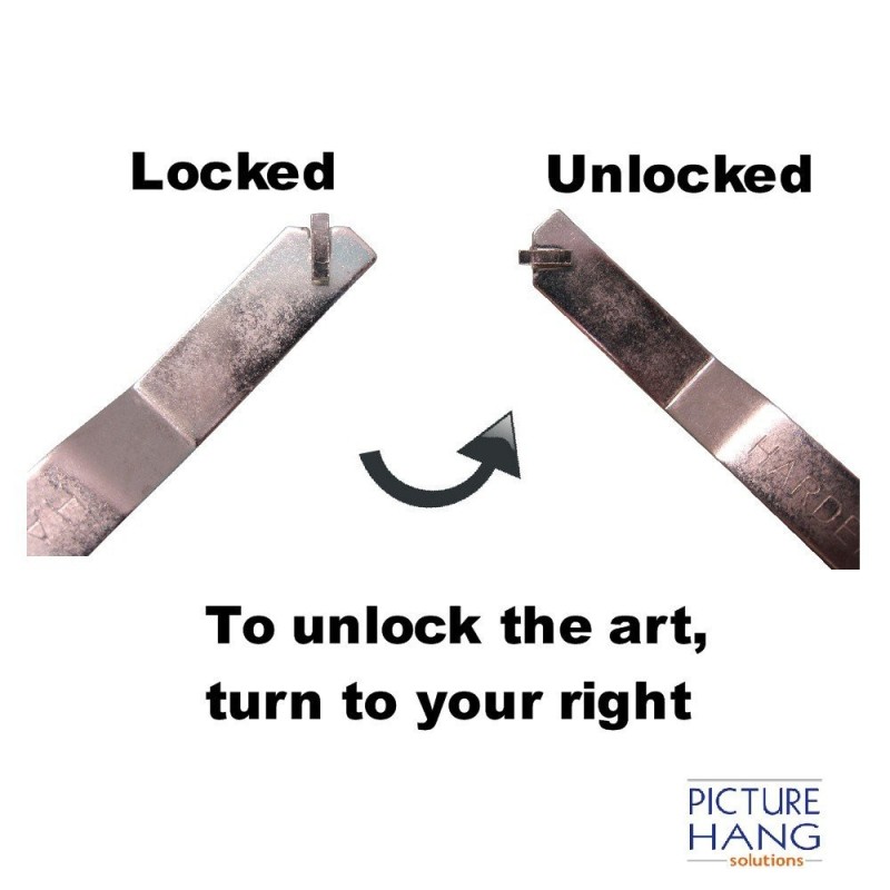 GeckoTeq T-Screw safety screw incl. 8.0mm plug