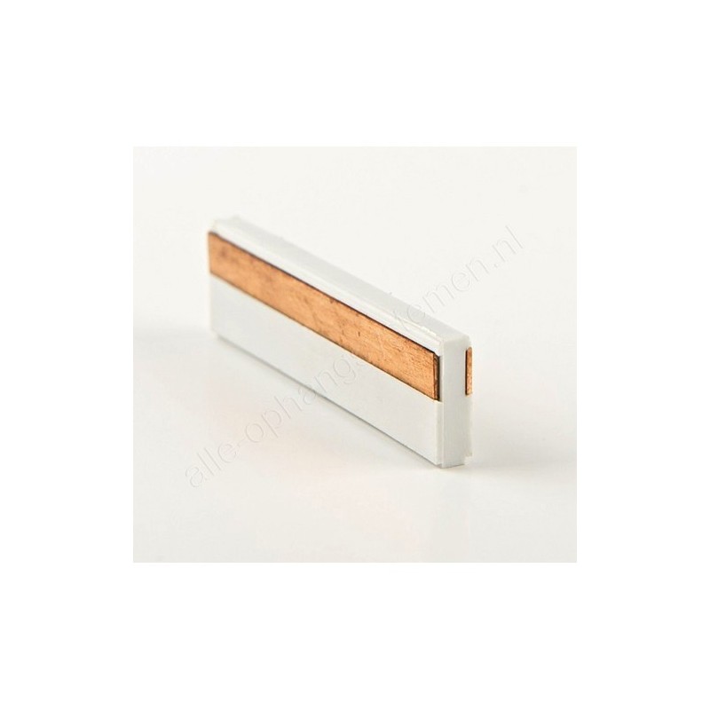 STAS multirail conductor 12V recht