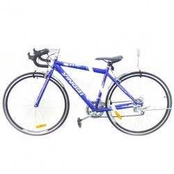 GeckoTeq Duratrax - Horizontaler Fahrradhaken 2 Stück GSH12