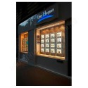 Artiteq set staaldraad 1.8mm - 400cm vast voor e-clip