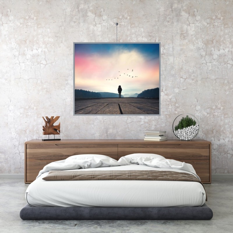 Newly H200 Solo Hanger + H100 Hook + 200 cm Steel wire (Set) - 20kg