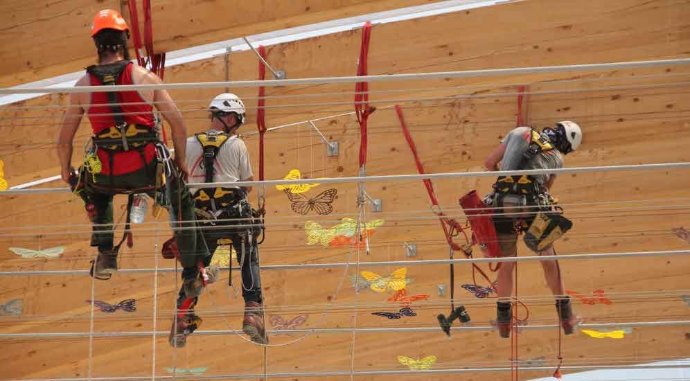 Fastgørelse af sommerfugle i stor højde i Luxembourg